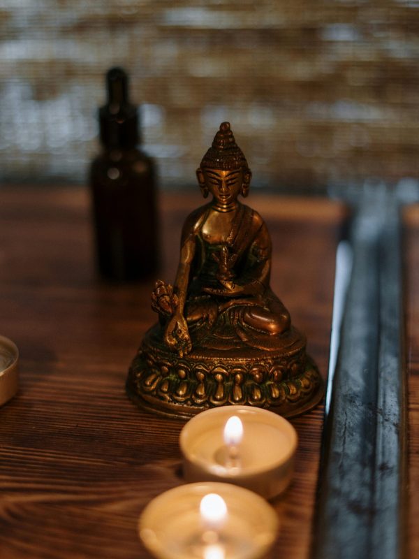 pexels-cottonbro-3998002